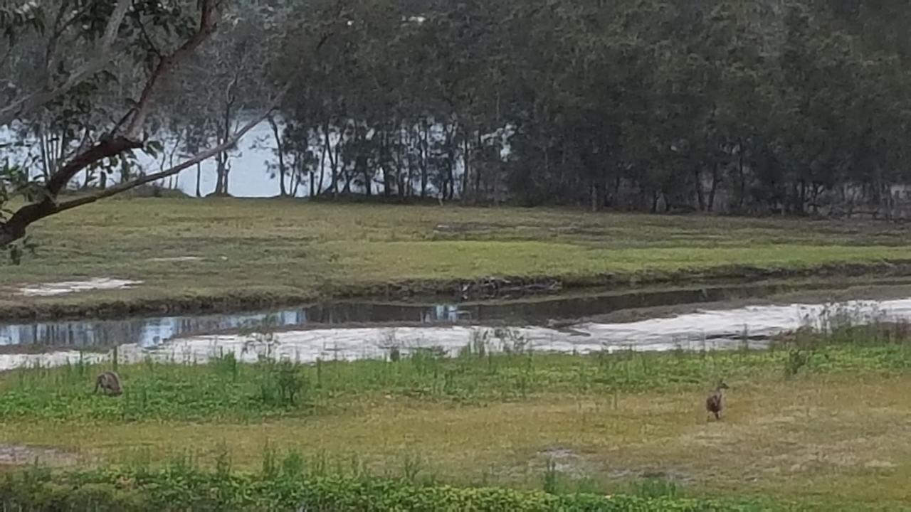 Tabourie Lake Motor Inn Buitenkant foto