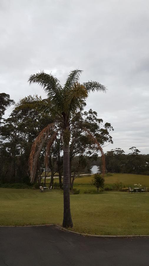 Tabourie Lake Motor Inn Buitenkant foto